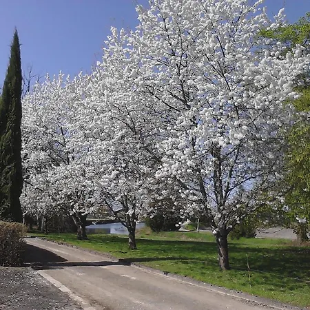 Chateau Du Bourbet