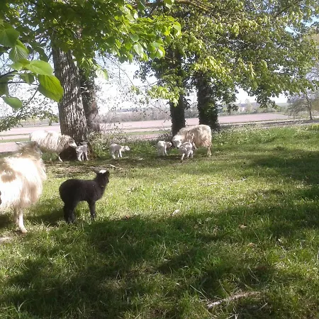 Panzió Chateau Du Bourbet 3*