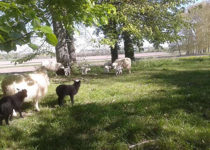 Alojamento de Acomodação e Pequeno-almoço Château Du Bourbet 3*