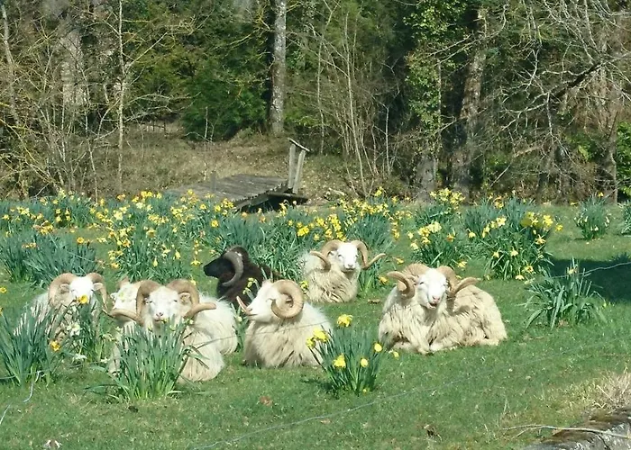 Château Du Bourbet Alojamento de Acomodação e Pequeno-almoço 3*