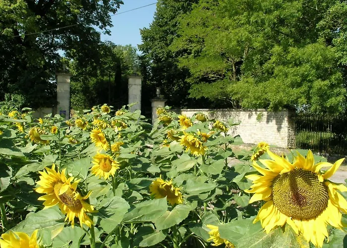 Chateau Du Bourbet 3*